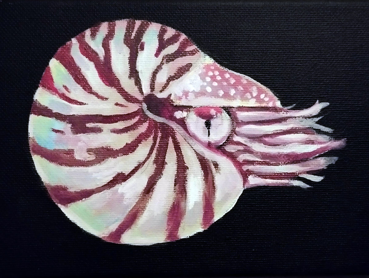Nautilus, 2021. Acrylic on canvas.