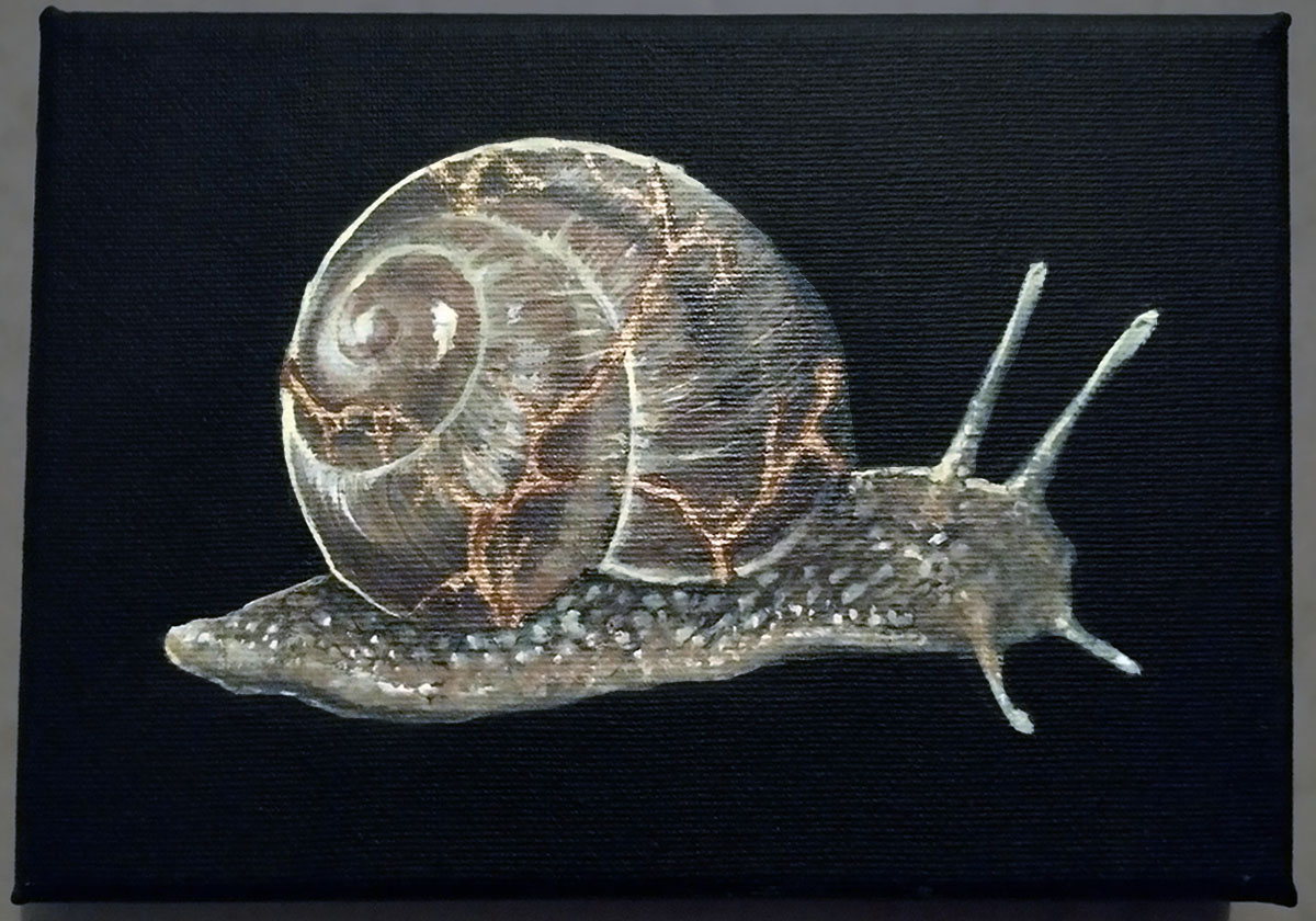 Kintsugi Snail, 2021. Acrylic on canvas.